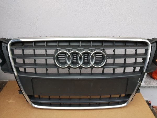 Audi A5 Grill.