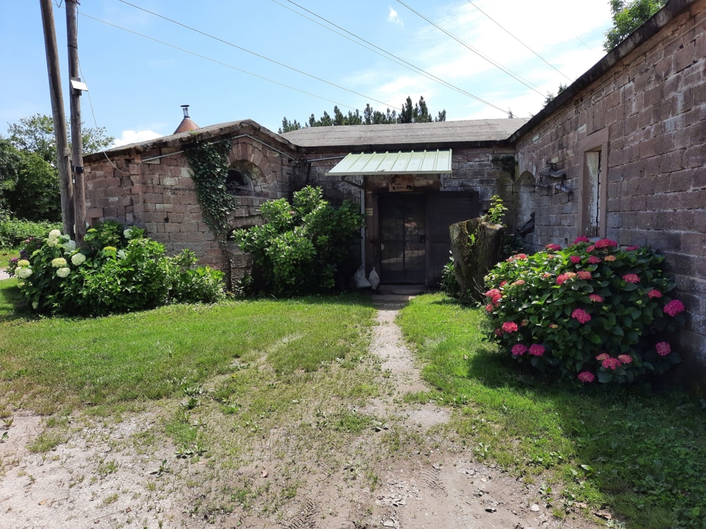 Pferdeboxen zu vermieten