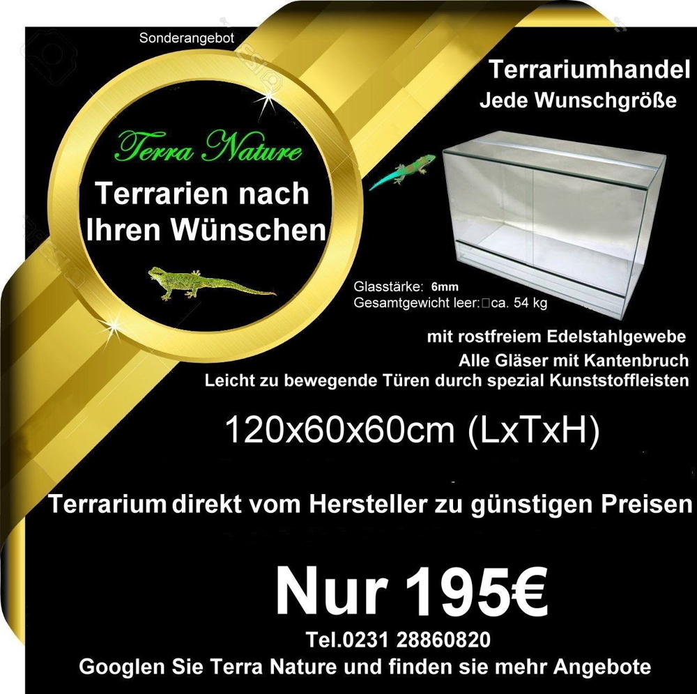 Terrarium : 120x60x60 cm, (LxTxH)