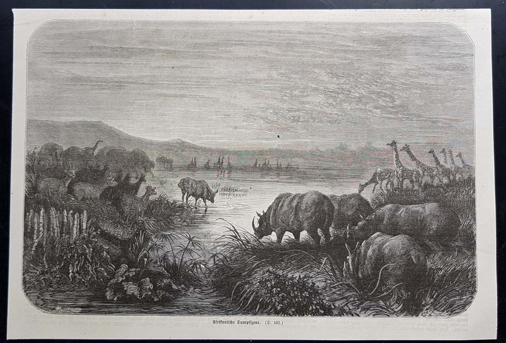 Afrika Sumpflandschaft Nashorn Holzstich um 1860 antik