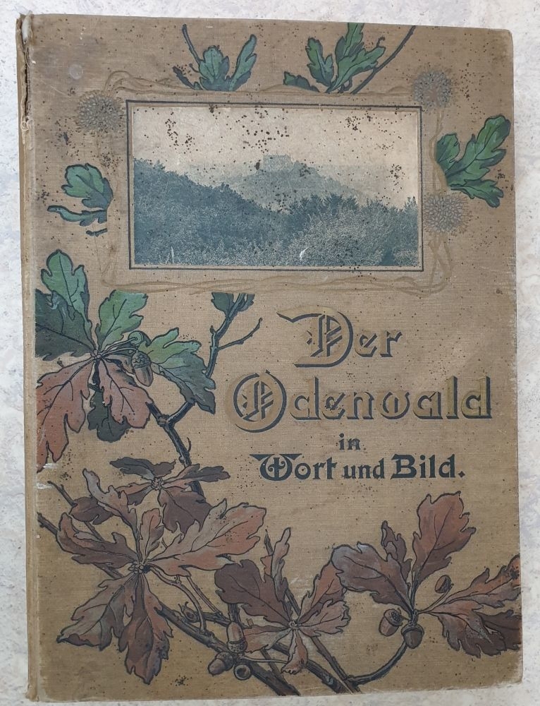 Altes Buch von 1905 - Der Odenwald in Wort und Bild