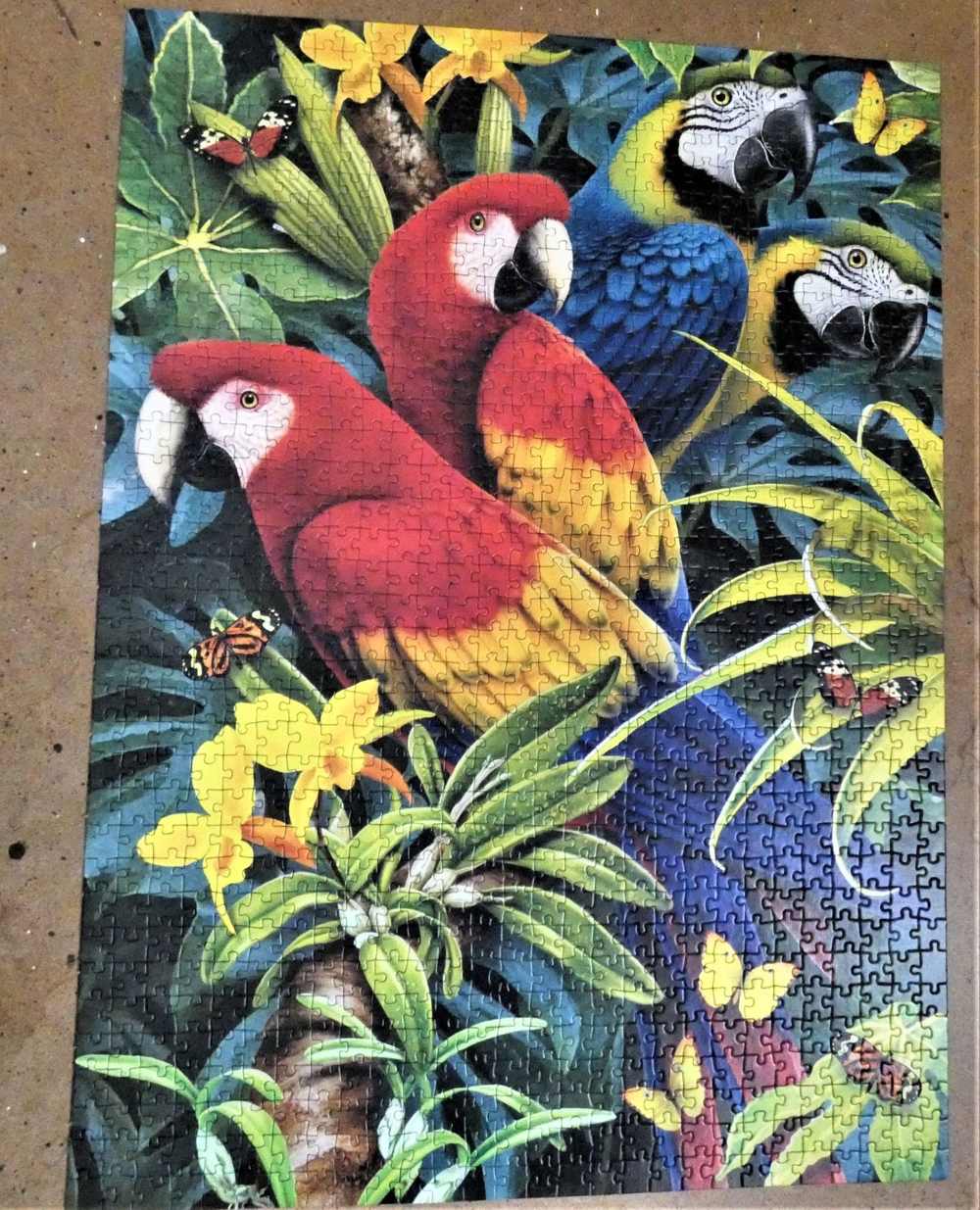 Clementoni MAGIC 3D Puzzle 1000 Teile mit Brille / Papagei