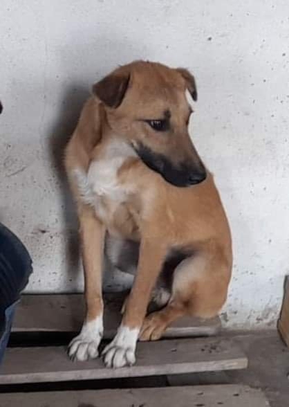 Schenkst DU mir ein Zuhause?