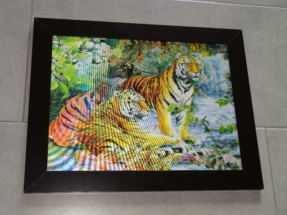 3-D Wandbild in dekorativem Rahmen zu verkaufen "Tiger"
