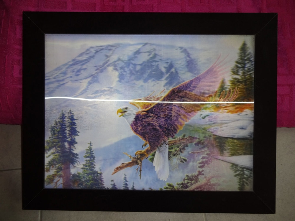 3-D Wandbild in dekorativem Rahmen zu verkaufen "Adler"