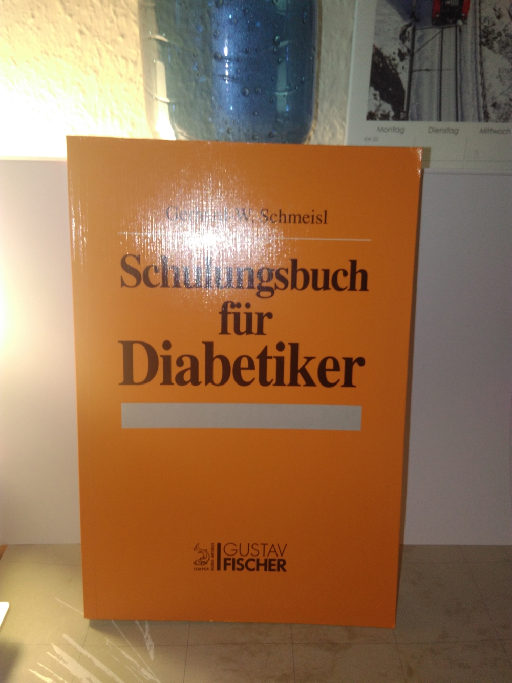 Schulungsbuch Diabetes von Gerhard-Walter Schmeisl (Buch)