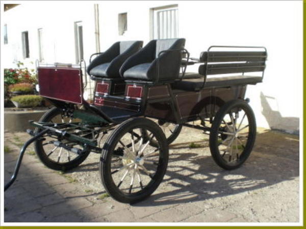 Neue Fahrschulwagonette!