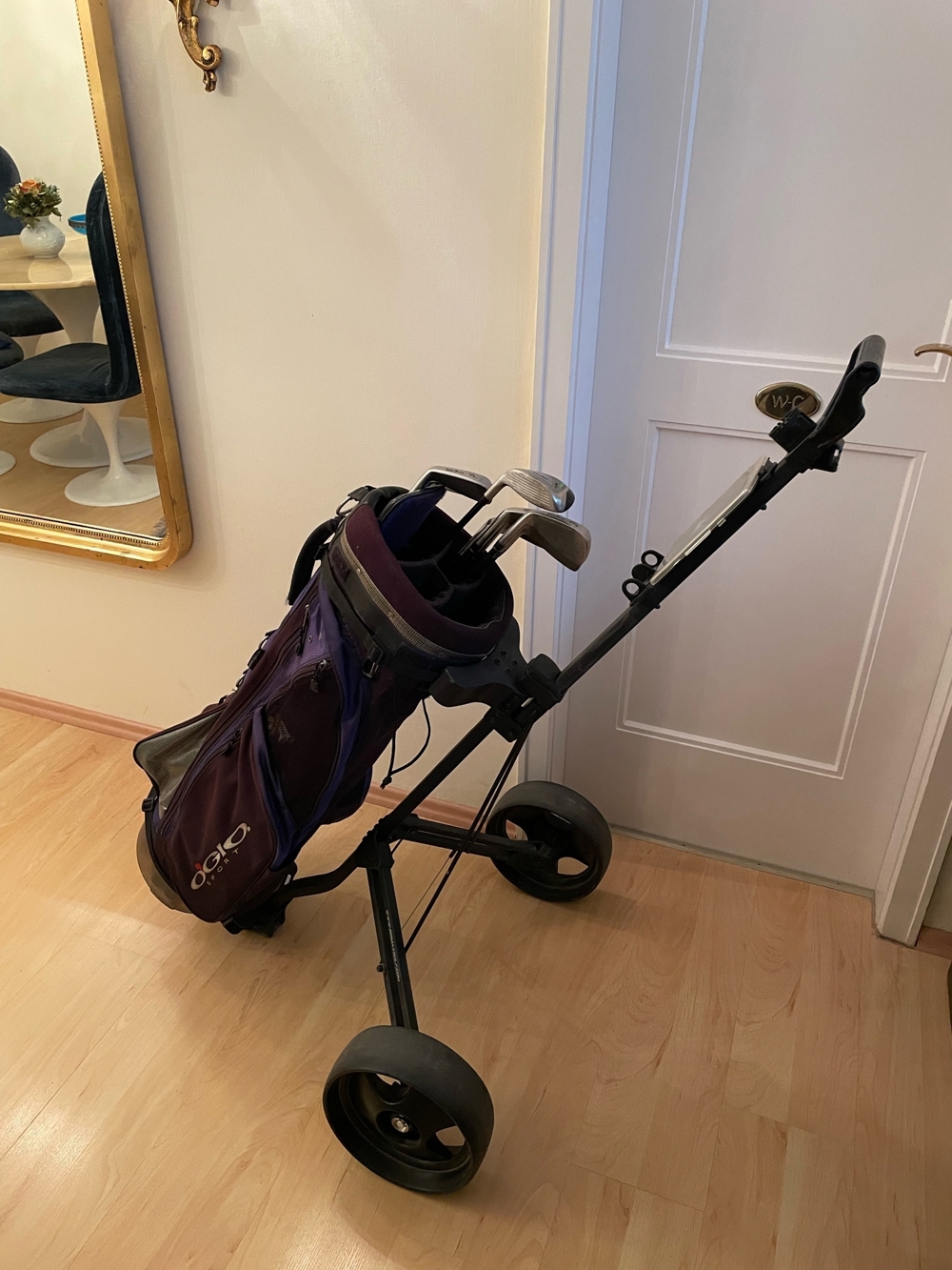 Golfausrüstung Ping Eisen 634579 SP und Treiber