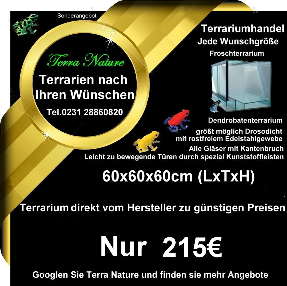 Terrarium Dendrobaten-Terrarium 60x60x60cm Froschterrarium