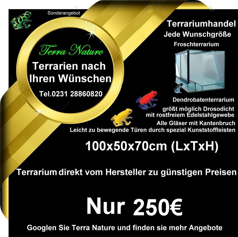 Terraristik: Terrarium. Dendrobaten-Terrarium 100x50x70cm (LxTxH) Froschterrarium