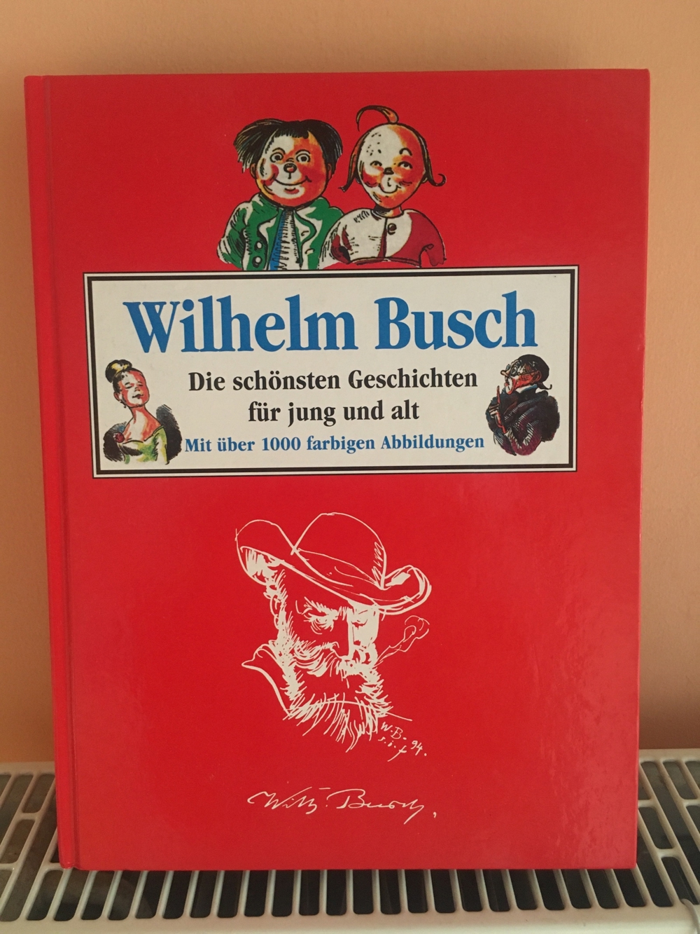 Wilhelm Busch Buch - Die schönsten Geschichten für jung und alt