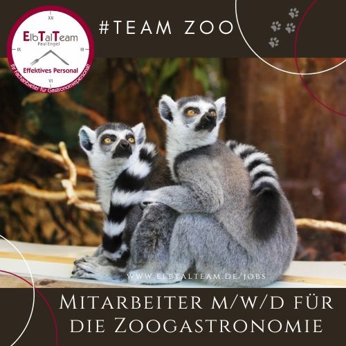 Servicekraft für den Zoo Leipzig gesucht!