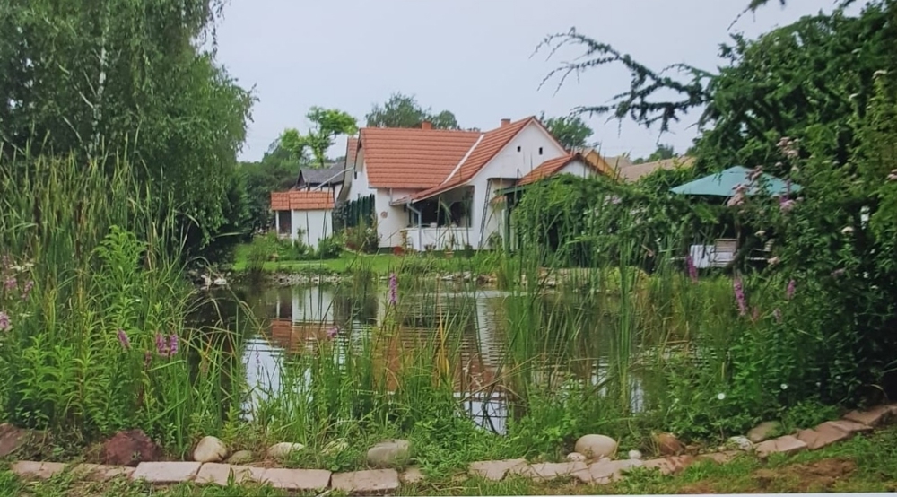 Ungarn: Interessantes Haus, Landhaus mit Schwimmteich südlich des Balatons (ca. 20 km)