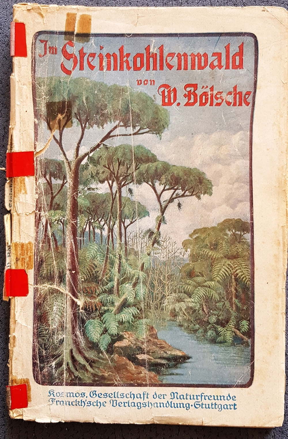 Taschenbuch "Im Steinkohlewald" von W. Bölsche, ca. 1920