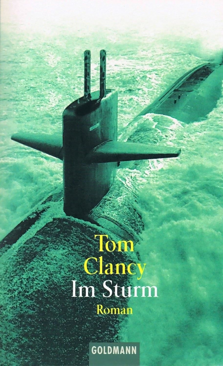 Im Sturm. Roman. Tom Clancy.
