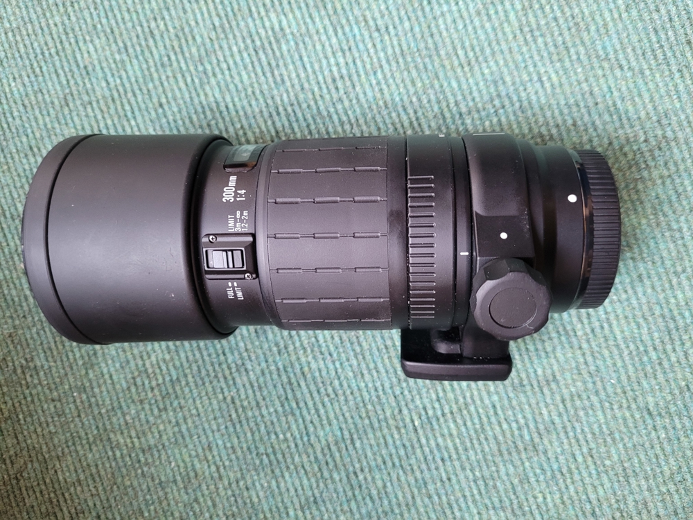 Teleobjektiv Sigma 300mm F4 (für Canon AF)