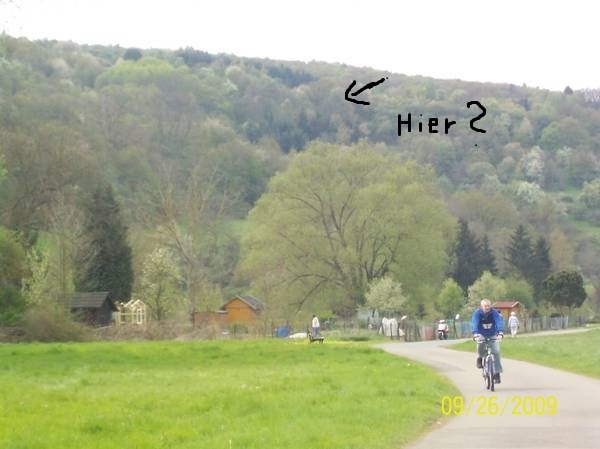 RP -Dielkirchen --Mischwald--Giebelbacherho   Stolzenbergerhof--Wochenendgebiet- Holzgewinnung   
