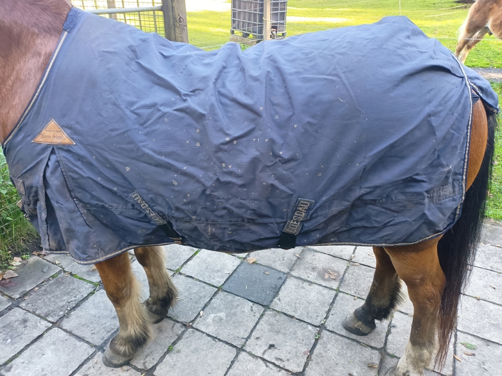 Lösdau Stalldecke in 125 cm