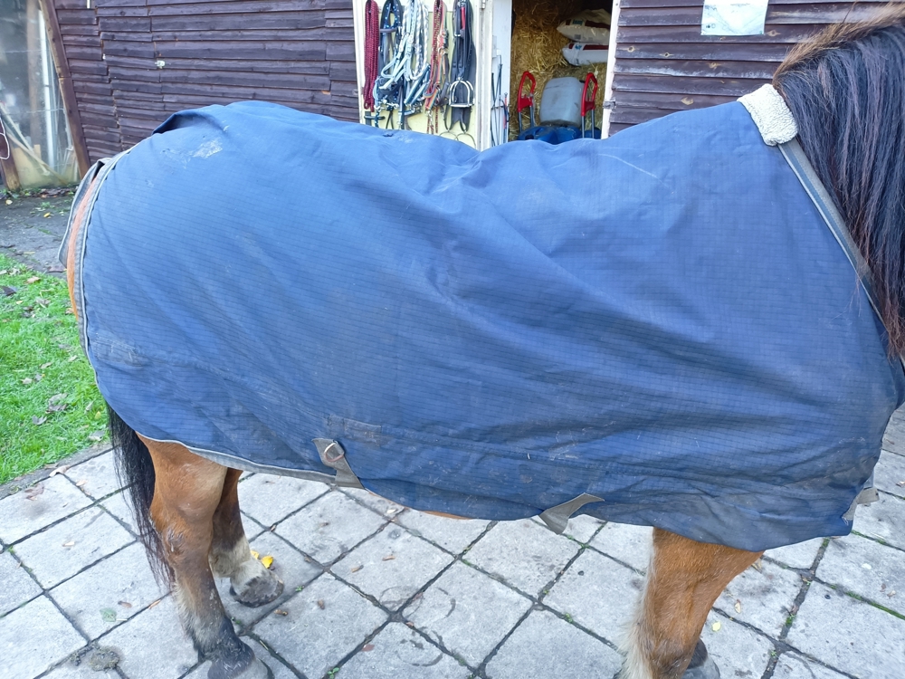 Busse Stalldecke in 125 cm