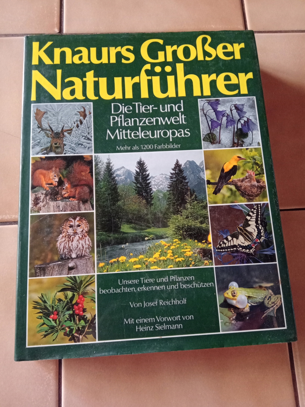 Diverse Sachbücher zu Natur, Garten, Tieren und Gesundheit; sowie diverse Kochbücher