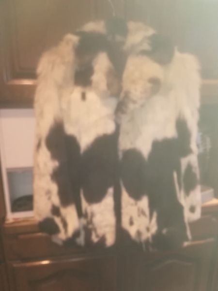 Gaewolf Pelzjacke Damen weiß schwarz gemustert in Größe 40 42 zu verkaufen