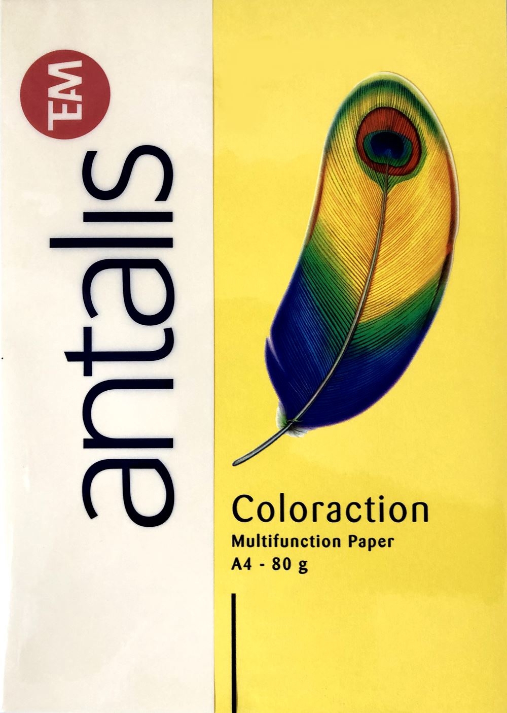 80 Blatt farbiges Kopierpapier Druckerpapier Antalis neu Sonnengelb A4 80g/ m²