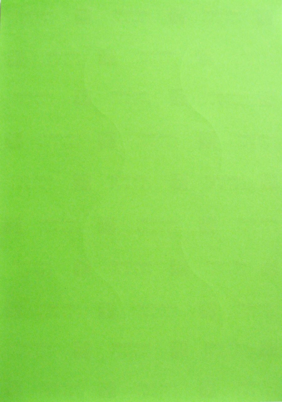 20 Blatt farbige Haft-Etiketten A4-Format 210 x 297mm GRÜN selbstklebend von Mayspies neu