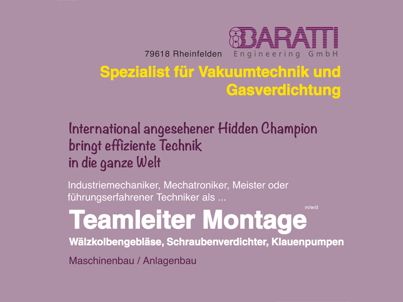 Teamleiter Montage (m w d)