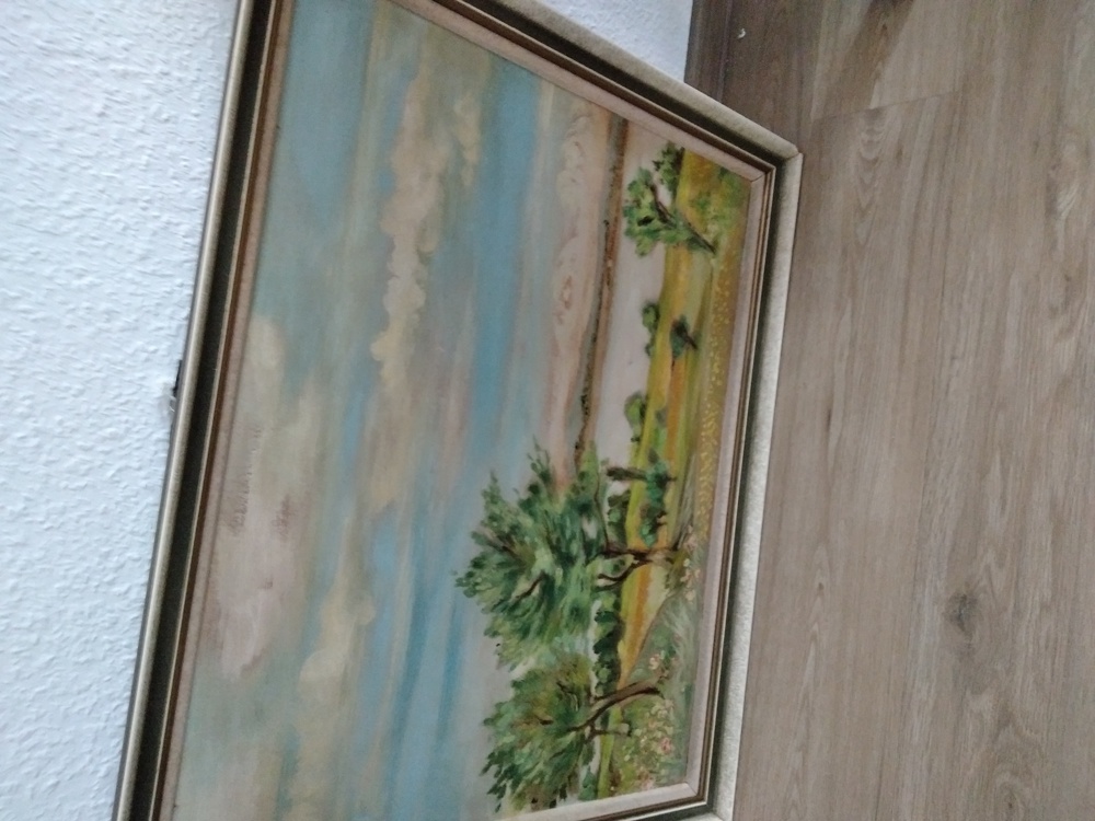 schönes  Bodensee   Gemälde   
