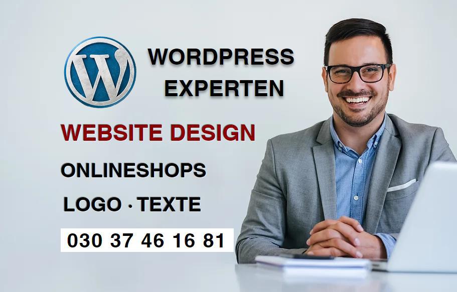 Professionelle Website erstellen    Wordpress    Logo    Texte   