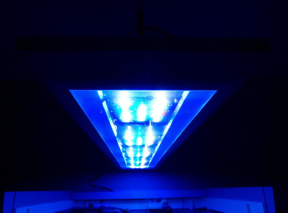 Aquariumbeleuchtung LED
