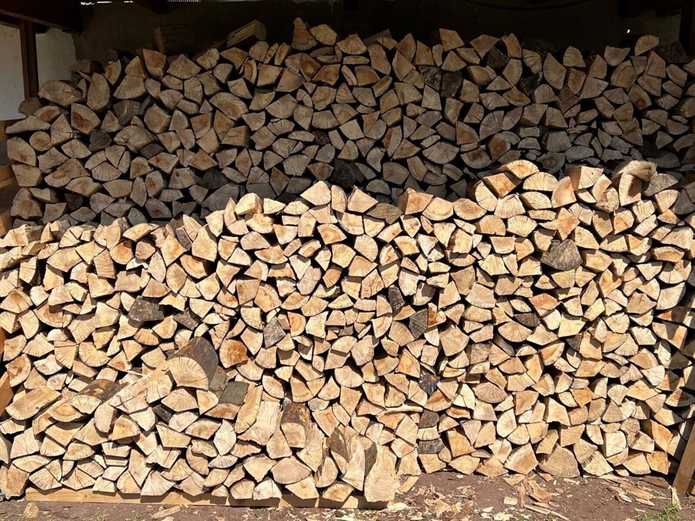 Brennholz auf Paletten und trocken 