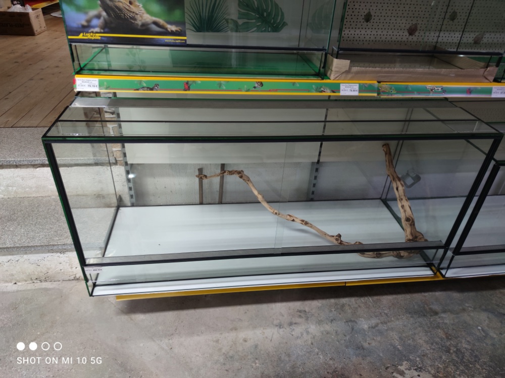 Glasterrarien in verschiedenen Größen zu Hammer Preisen 