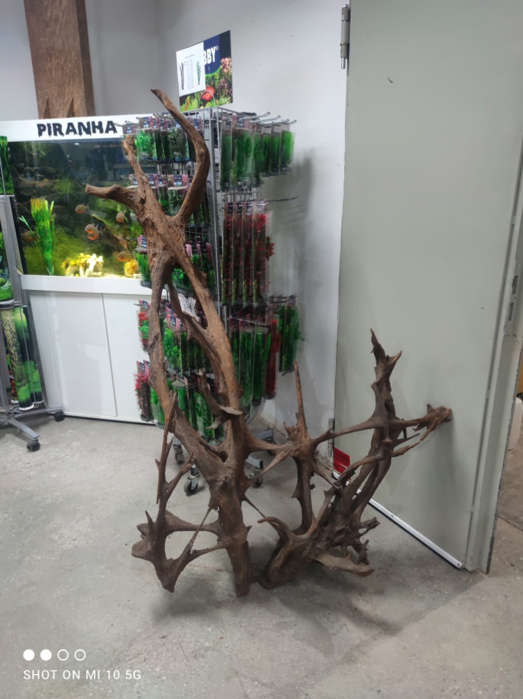 Riesen Auswahl an Aquarium und Terrarium Wurzeln 