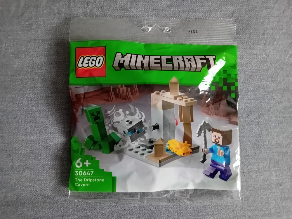 Lego Polybag Minecraft 30647