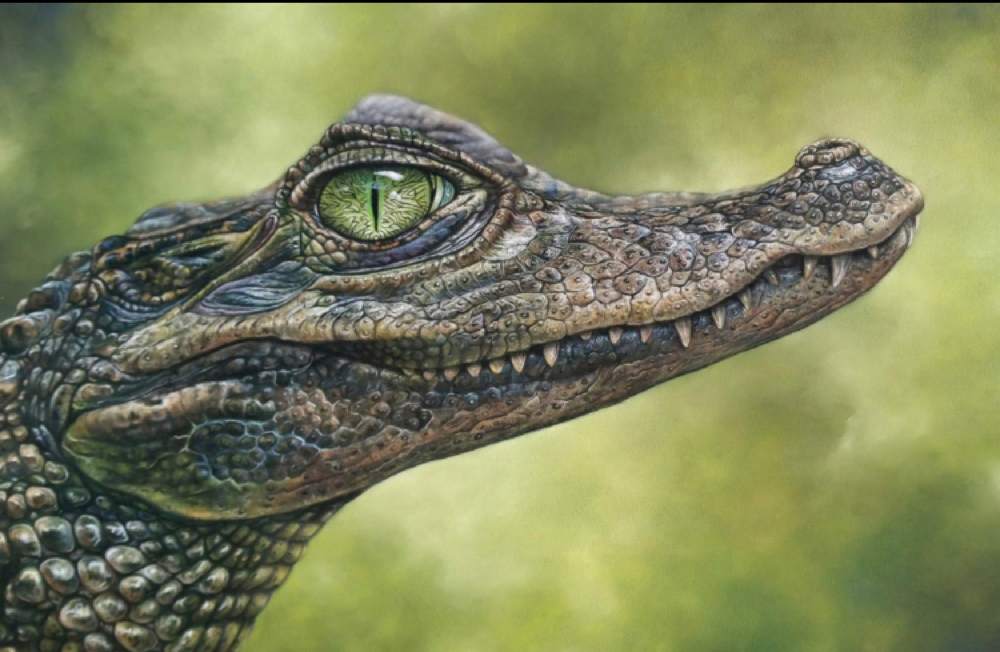 Crocodile talks  Sales:Crocodilians  
