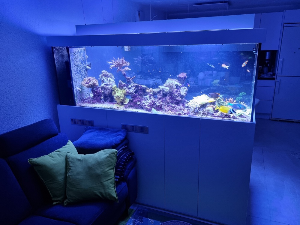 Luxus-Meerwasser-Aquarium 1.000 Liter inkl. Technik+Beleuchtung!!!