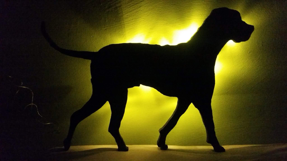 Wandbild mit LED Beleuchtung von deinem eigenem Tier