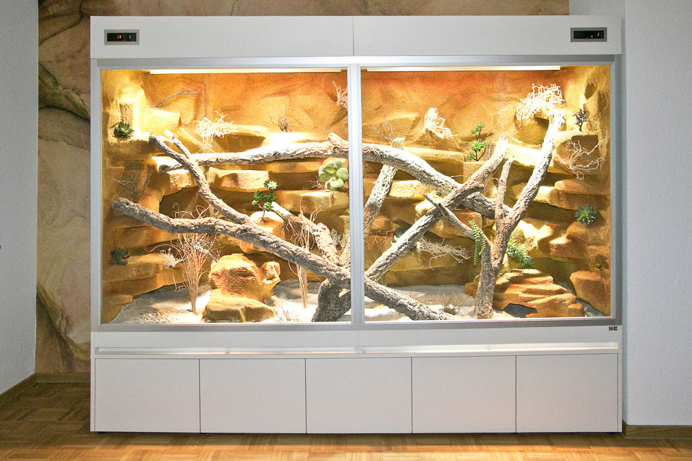 Steppen-Wüstenterrarium für Bartagamen und alle anderen Steppenbewohnende Reptilien