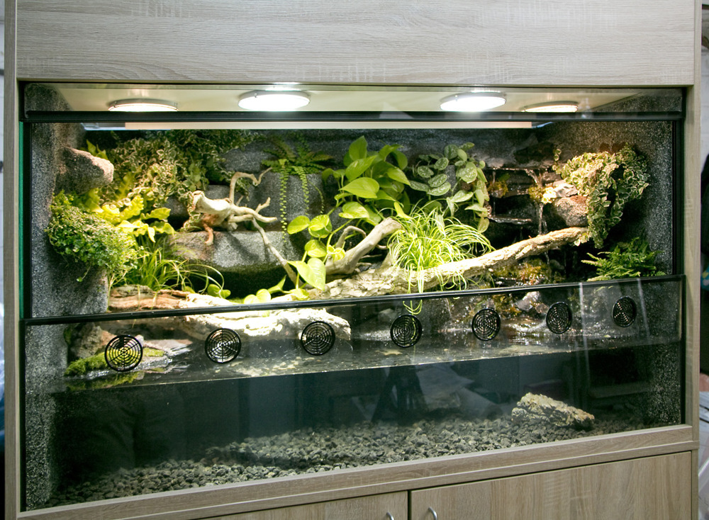 Aqua-Terrarium   Paludarium z. B. für Krokodilschwanzechsen