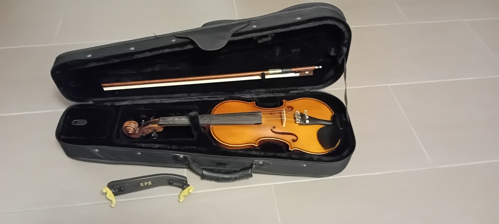 Geige Violine, Emanuel Sanchez