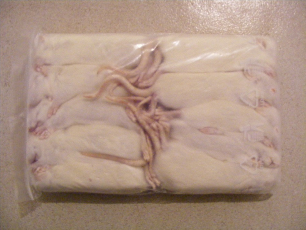 Frostmäuse mittelgroß, Frostfutter, 10er Pack