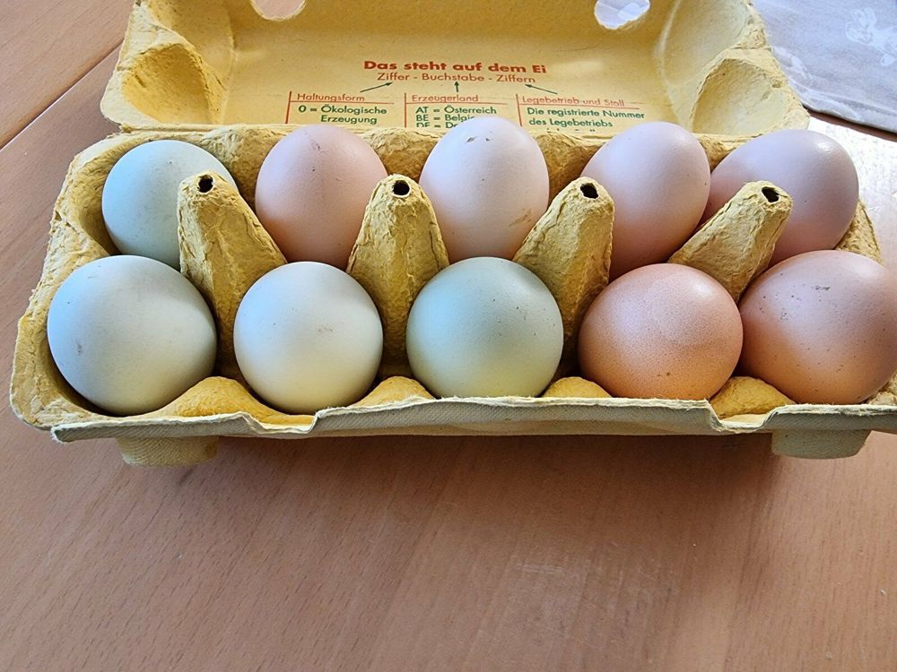 Bruteier zu verkaufen