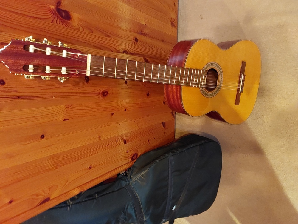 Pro Arte Strunal GC-150 Gitarre