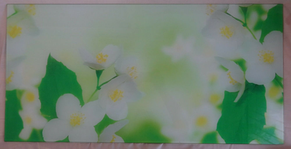D Glasbild 39x80 grün mit weißen Blumenblüten Folie auf Echtglas mit Wandhalter einwandfrei erhalten