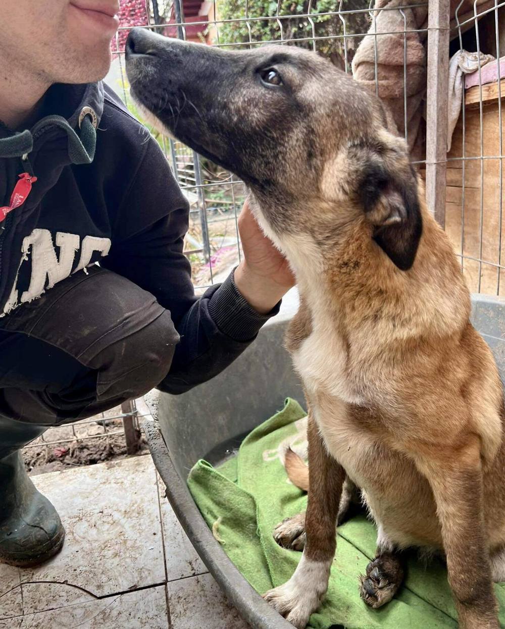 Freundlicher und verträglicher Yarik