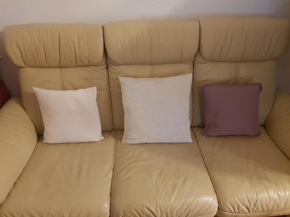 Couch 2 und 3 Sitzer aus Leder