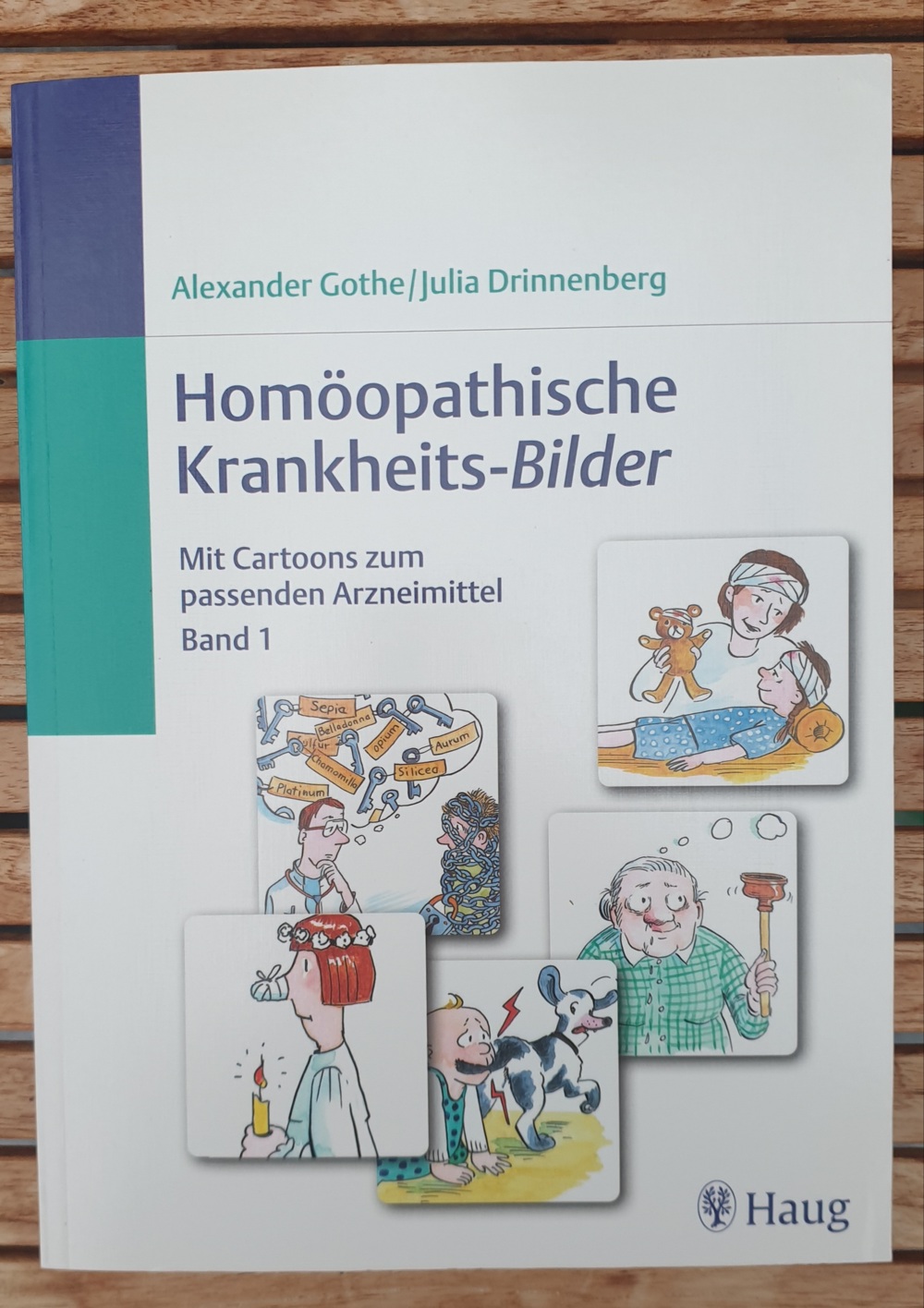Homöopathische Krankheits-Bilder 1 - Gothe Drinnenberg, neuwertig