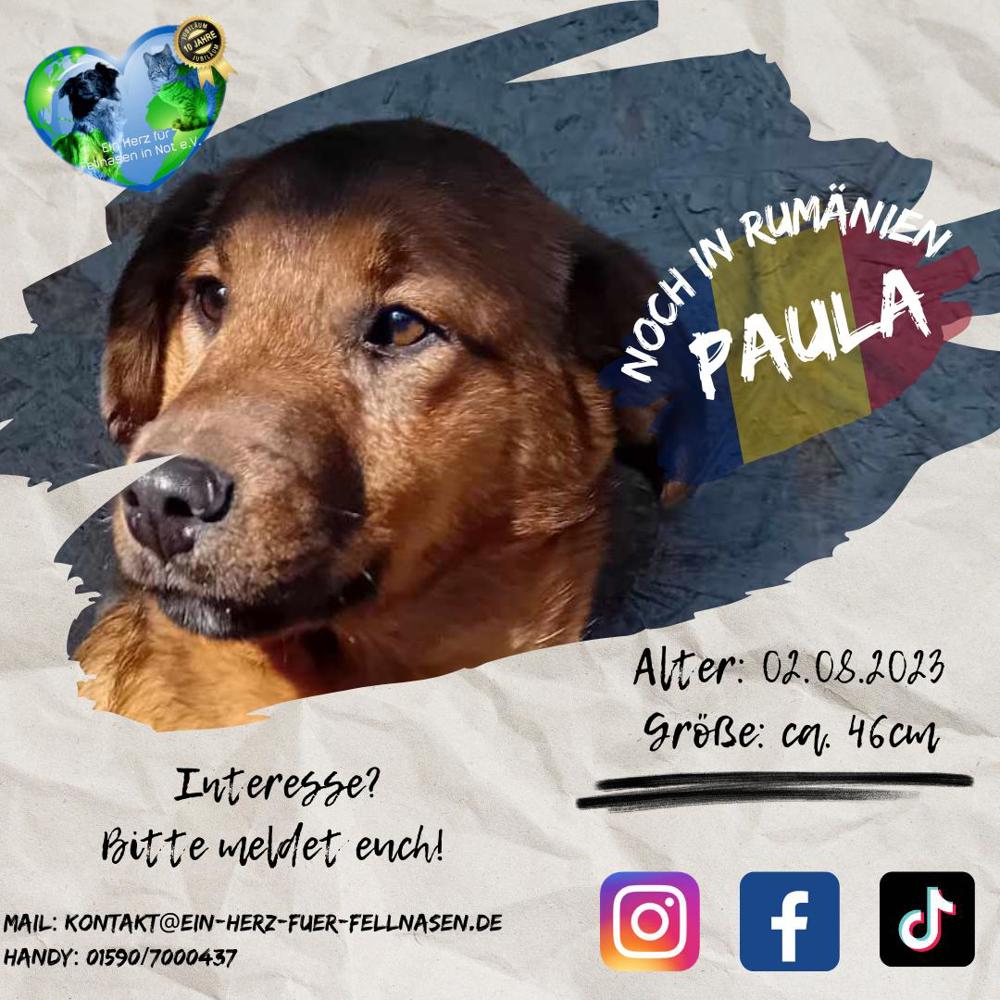 Paula sucht ihre Familie