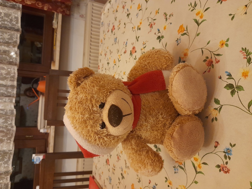 kuscheliger Teddybär 